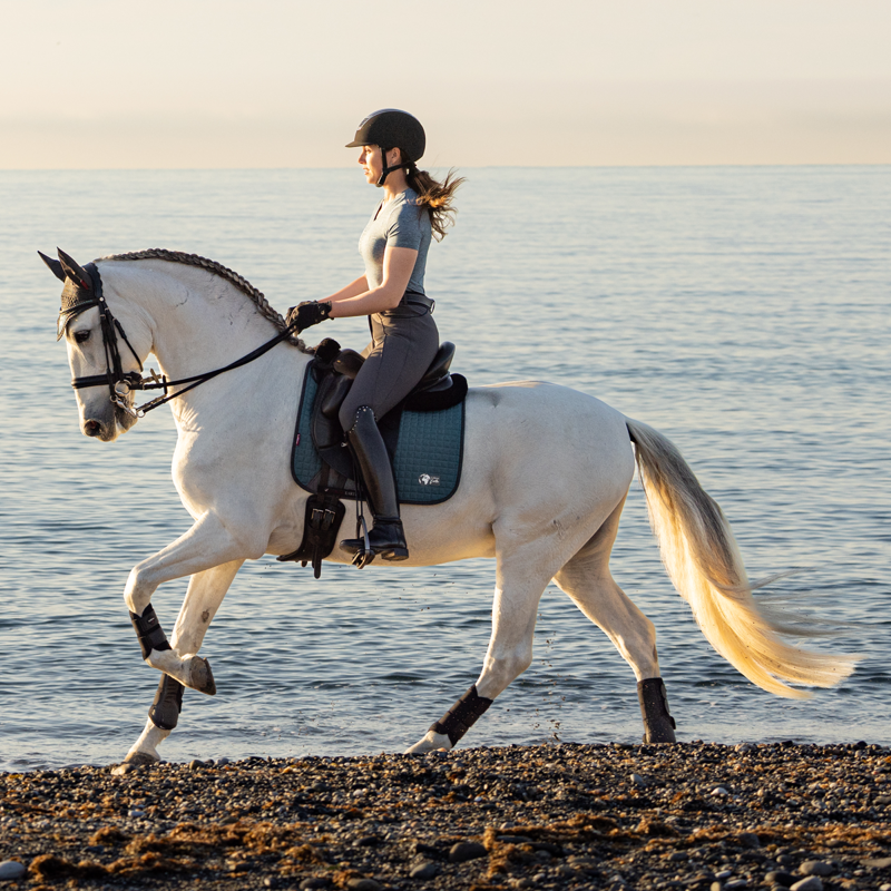 LeMieux Earth Dressage Square - Ocean - Large -1